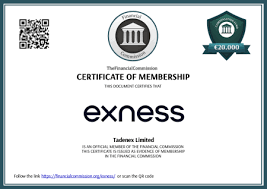 Start Exness Trading A Comprehensive Guide for Beginner Traders Start Exness Trading A Comprehensive Guide for Beginner Traders